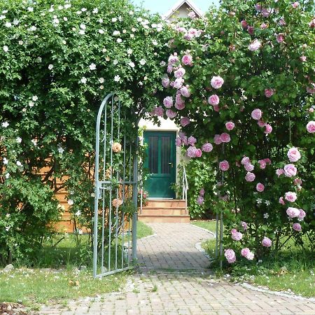 Garz Ferien Auf Ruegen Familie Geistアパートメント エクステリア 写真